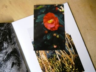 P1260666