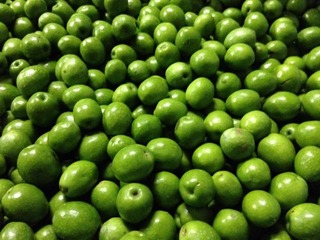 10660185_10203264025334906_7658927251109964791_n