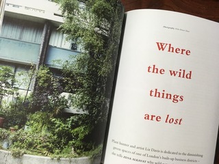 EFC945FF-85FC-4D17-A4E6-4AA9FF6D3BCB