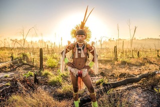 36621812_1704431782997331_2617081976141643776_n