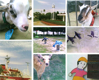 p_photo2