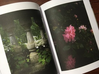 4082DCD8-4F5F-4CB1-84A6-193FC1F9AB8F