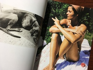 D613468D-4D51-4471-BCBC-C517BE7BF1E8