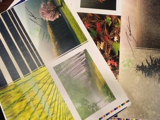 8FB049A6-9667-4897-8D46-50653A512490