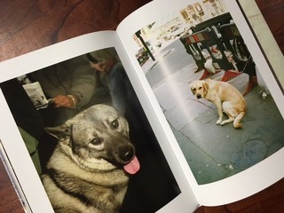 ��4FullSizeRender