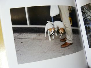 P1290331