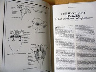 P1390461