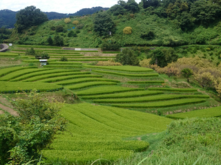 39953586_707627426251602_2400334329835159552_n (1)