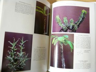 Amazon | The Euphorbia Journal/Book and Index | Schwartz