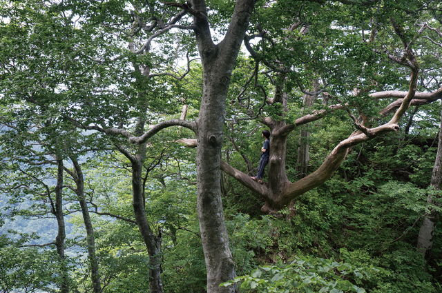 blog1