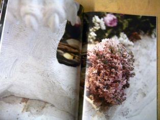 P1260676