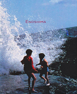 cover_shibata
