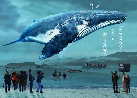 クジラ映画カバー画像
