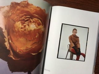 4687722F-A9FF-4E81-B37E-4534240EF19C