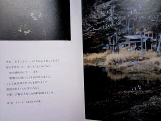 CA3G010700010001