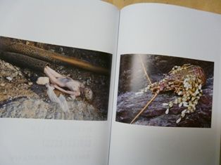 P1530341