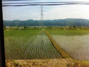 写真 2013-06-05 13 50 04