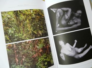 P1260991
