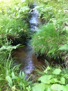 写真 2013-06-14 14 28 53 (235x314)