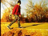 DOG&4