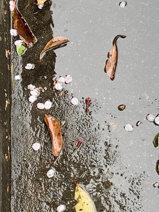 写真 2020-04-13 14 39 30