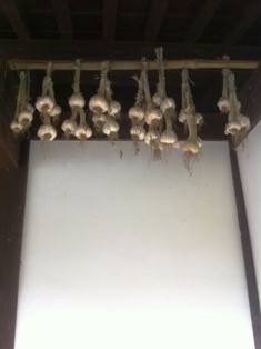 写真 2013-06-06 16 09 34