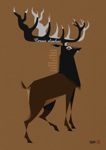 hevio_deer