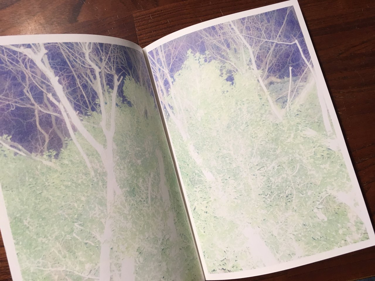 写真集】蓮井元彦さん写真集 : スタンダードブックストア