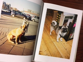 ��3FullSizeRender