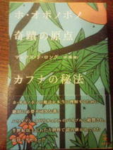 20090816202826