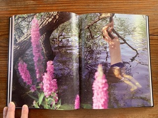 �̿� 2019-08-18 8 41 44