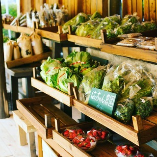 39939378_680885412274368_5099858877533388800_n