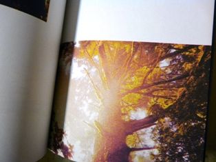 P1300147