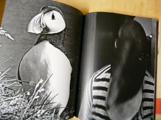 P1420859