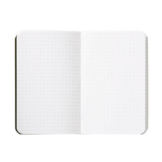 feildnotes4