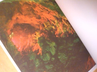 BOOK】Ryan McGinley「Moonmilk」 : スタンダードブックストア