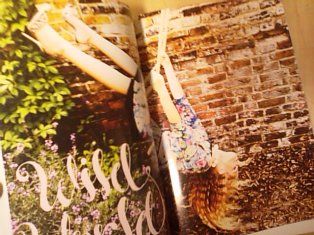 SN3F9088