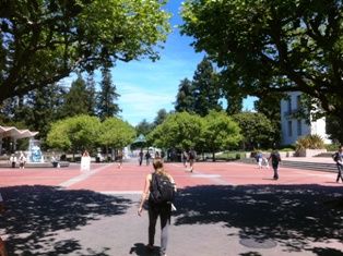 写真 2013-05-13 4 07 24