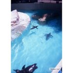 41GYvHfF8bL__SS400_