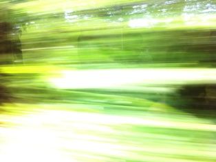 写真 2013-06-06 11 44 56