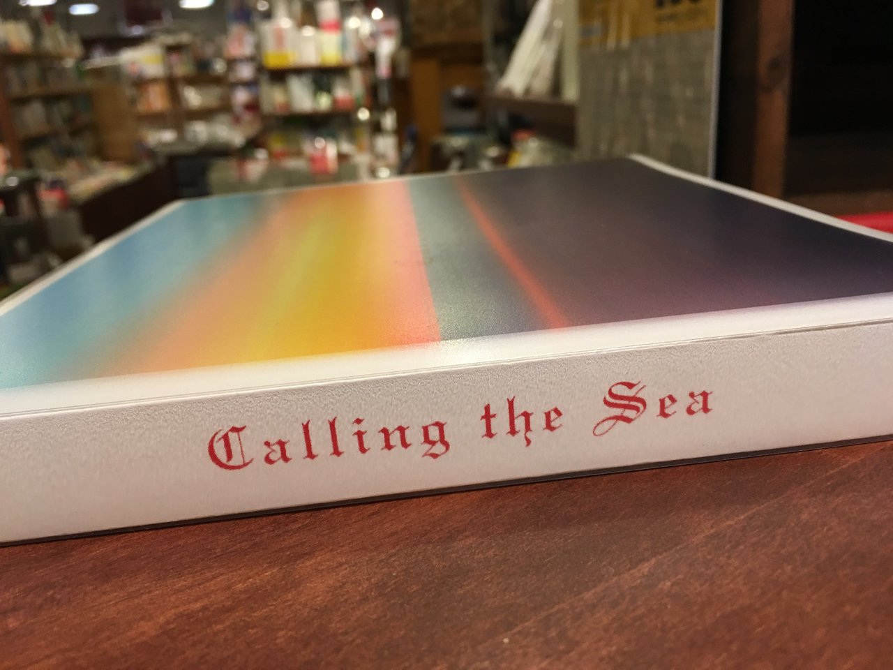 写真集】CALLING THE SEA｜芝田満之 : スタンダードブックストア