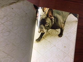 ��5FullSizeRender