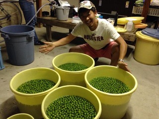 10404237_10203264025614913_1256855227111813654_n