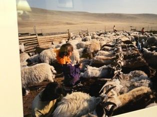赤阪友昭写真展LAND of NOMAD 017