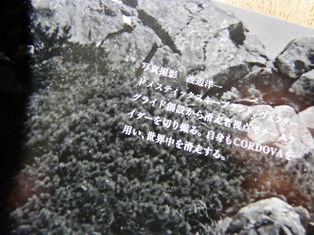 P1360988