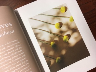 A9ABEA5A-C84D-4854-A9D9-F21EDC572EAA