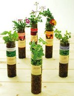 CylinderGarden