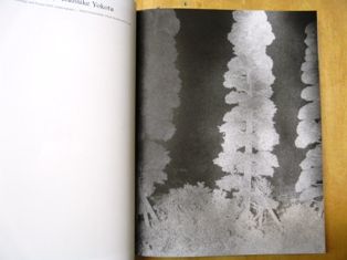 P1520267