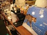 ANIMALねこ2