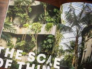 9FFFA3E0-FF4D-4EFD-9EC0-285C7D26A013